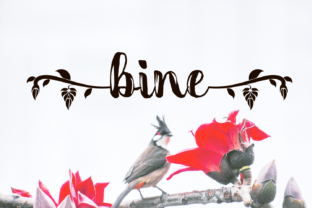 Bine