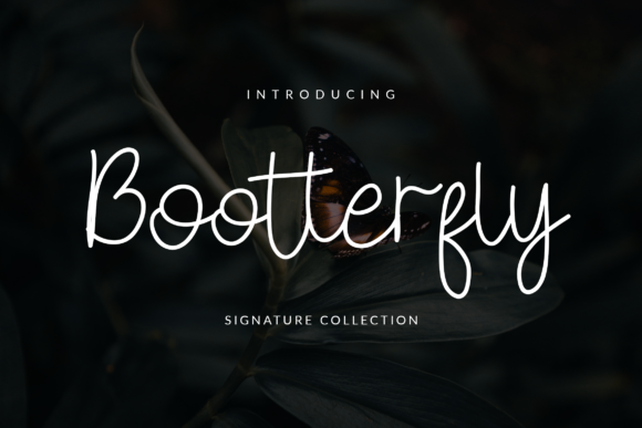 Bootterfly: The Font That Boosted My Bakery’s Brand