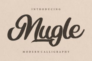 Choosing the Right Font: Mugle for Web Design