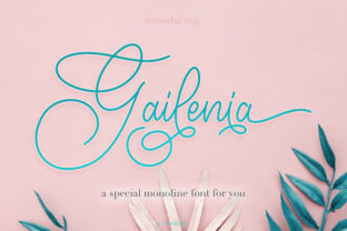 Gailenia: A Romantic Script Font for Thoughtful Brand Identity