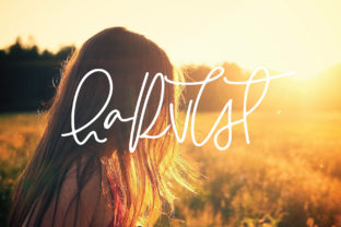 Harvest: The Font That Elevates Your Brand
