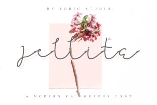 Jellita: A Script Font That Adds Magic to Every Design