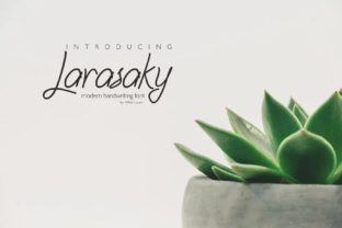 Larasaky: A Luxurious Script Font That Makes Your Campaigns Feel Human