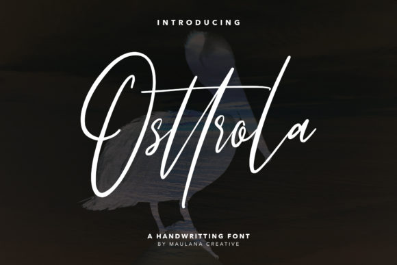 Osttrola: A Modern Script That Elevates Branding