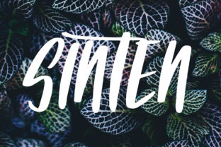 Sinten: A Bold Script for Branding That Stands Out