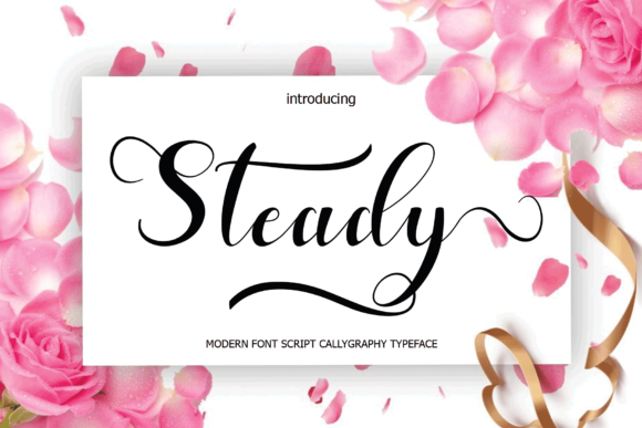 Steady: A Script Font That Holds Space with Quiet Confidence