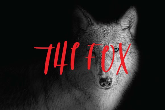 The Fox Script Font: A Creative Powerhouse for Handmade and Commercial Projects